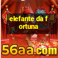 elefante da fortuna